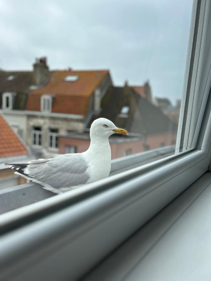 Experience Malouine - Appt T3-Coeur De Malo-Plage Dunkirk Eksteriør billede